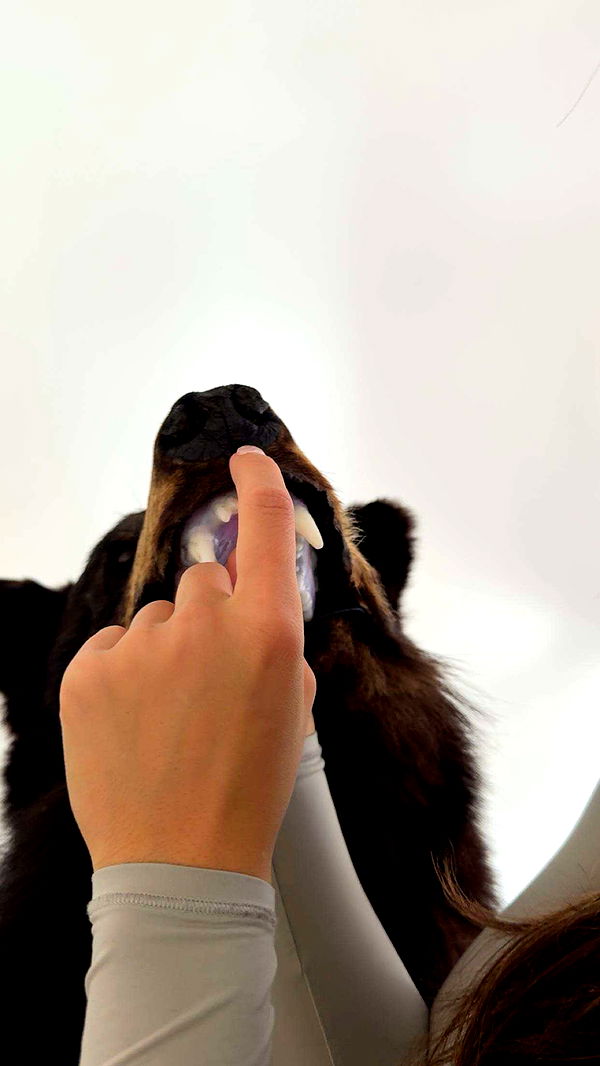 realhaylujan image ~ Altpins