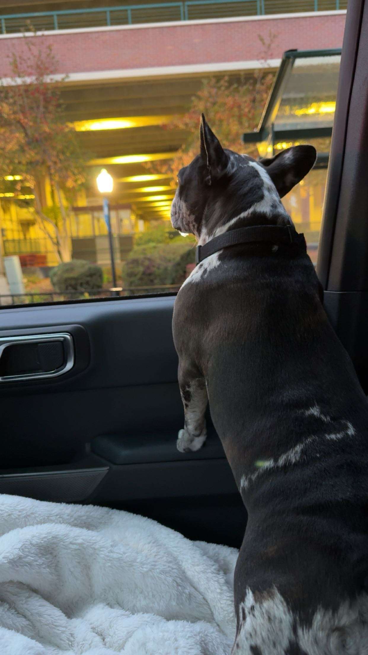 realhaylujan snapchat image archive image