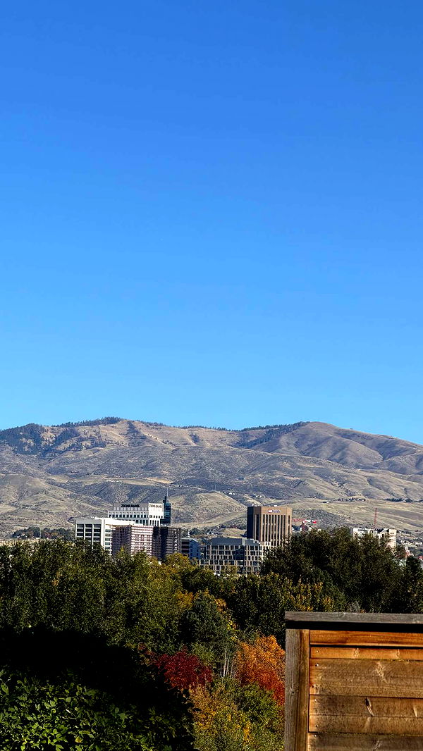 realhaylujan image ~ Altpins