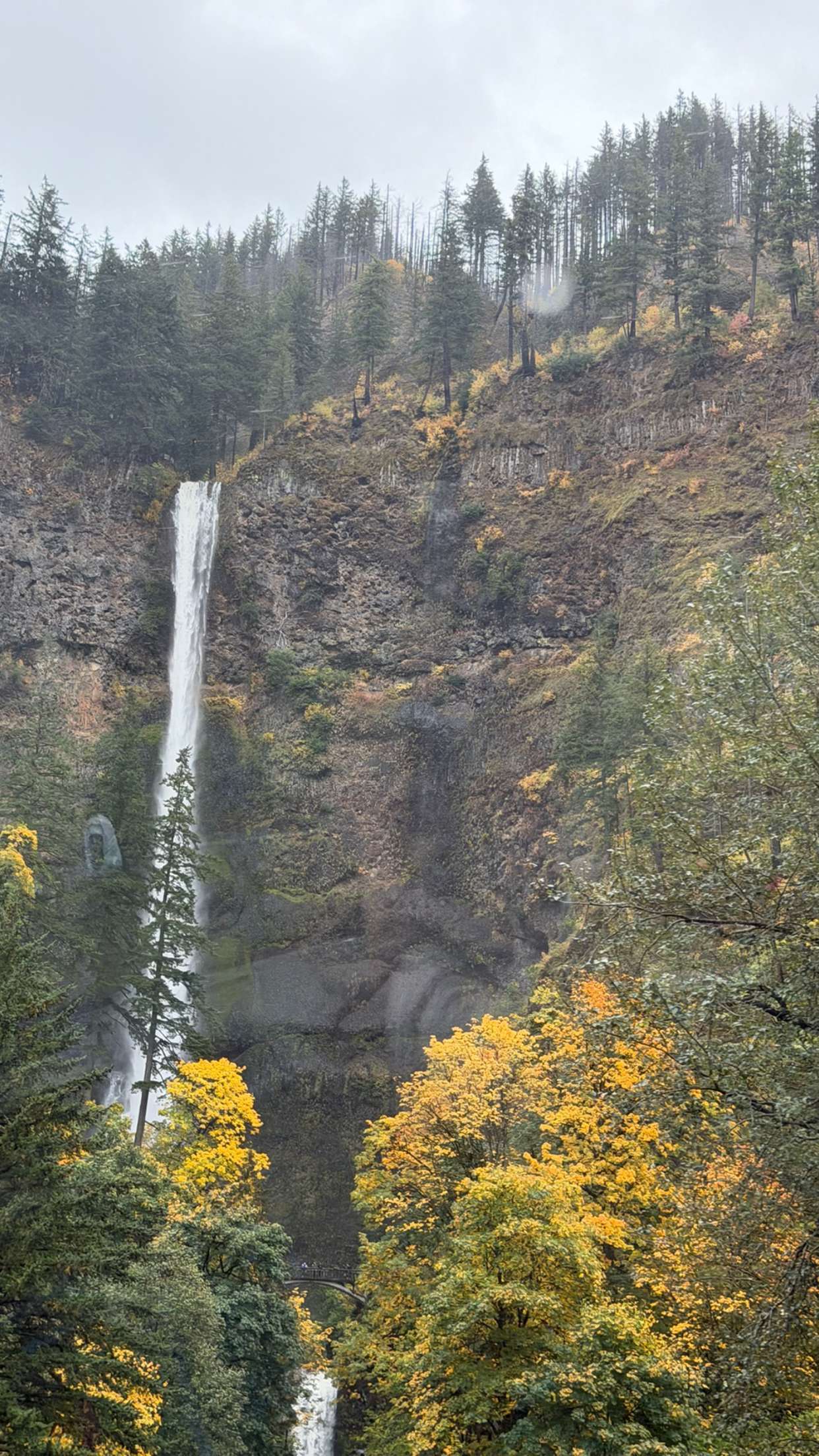 realhaylujan snapchat image archive image