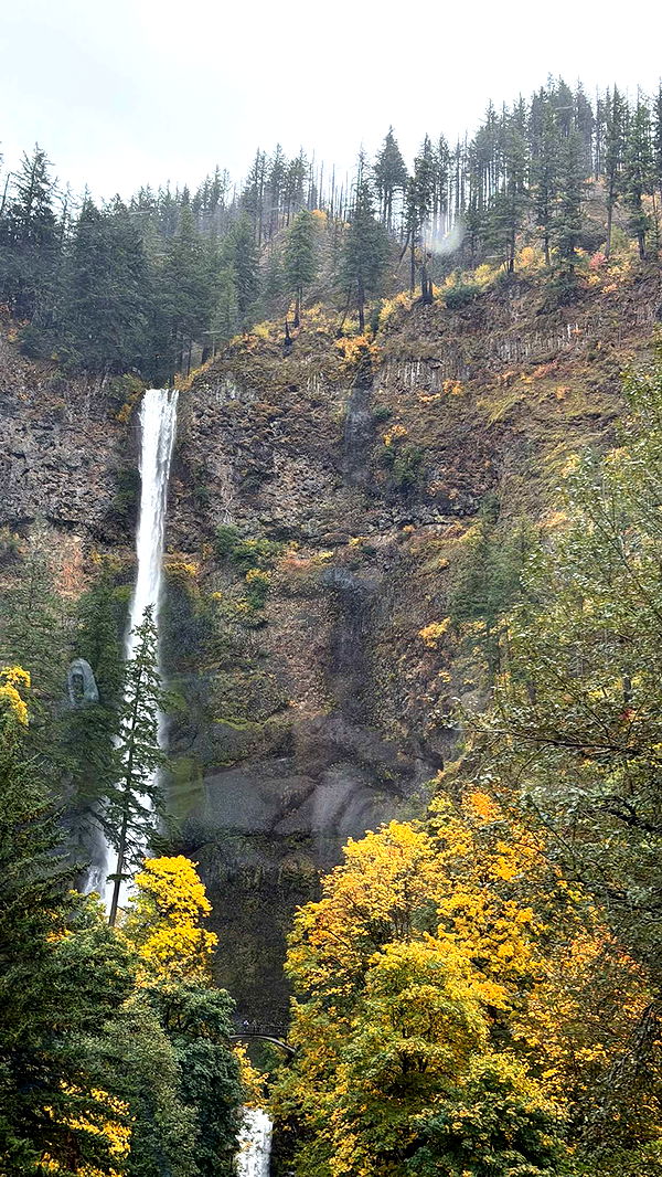 realhaylujan image ~ Altpins