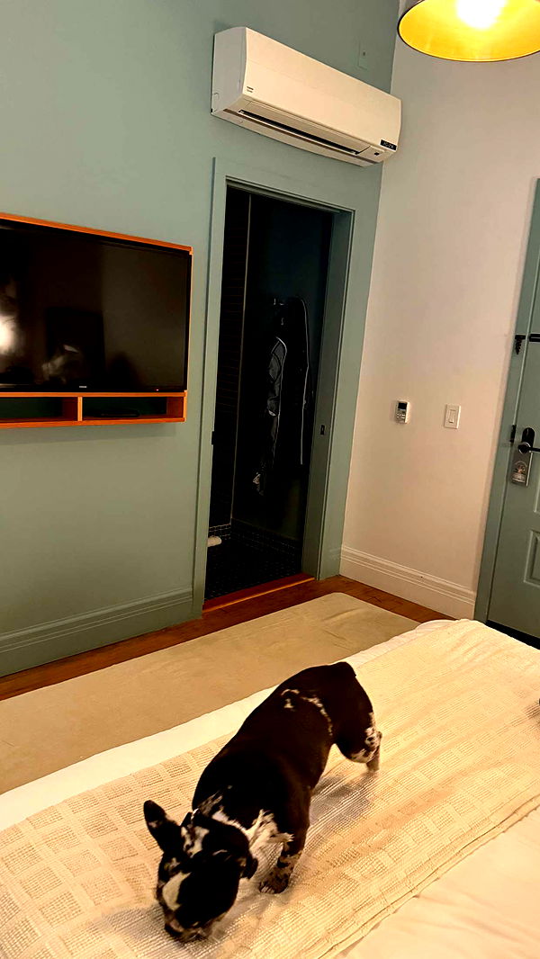 realhaylujan image ~ Altpins