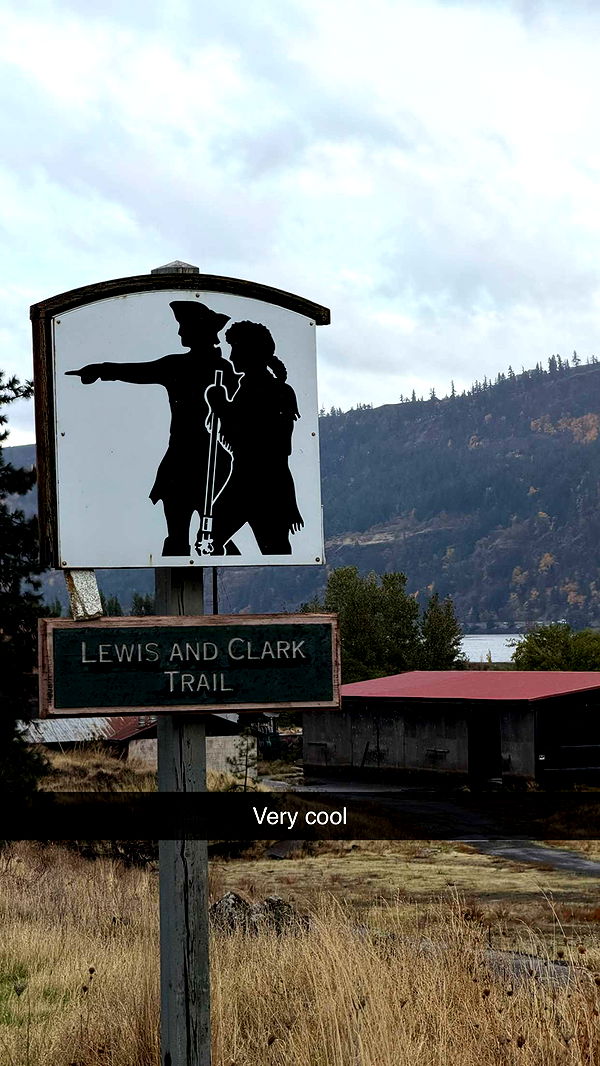 realhaylujan image ~ Altpins