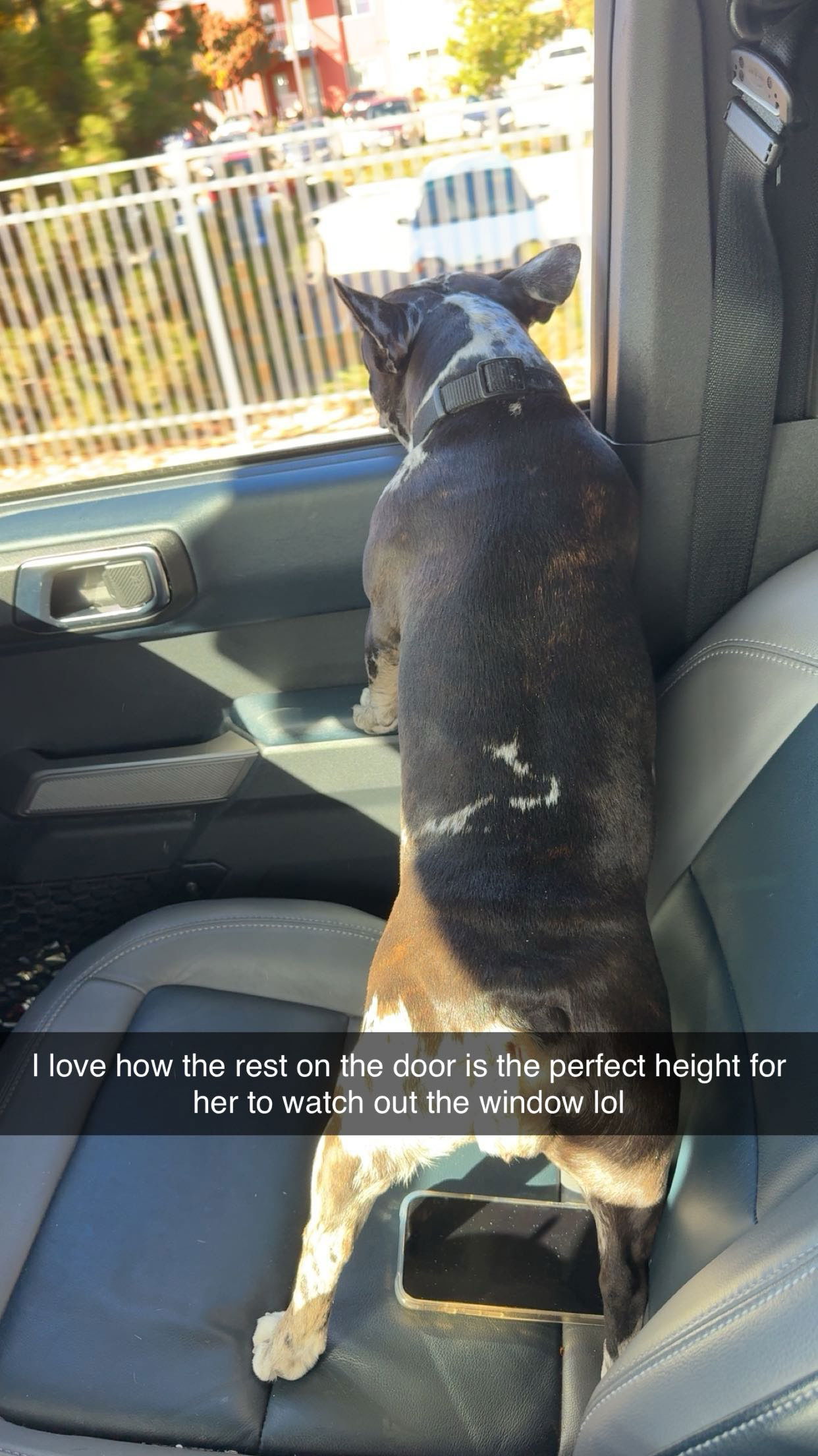 realhaylujan snapchat image archive image