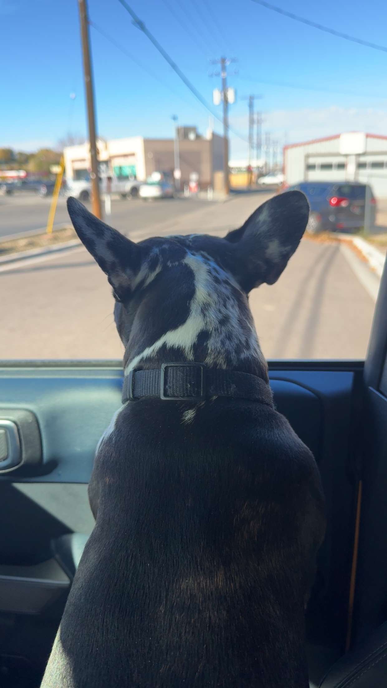 realhaylujan snapchat image archive image