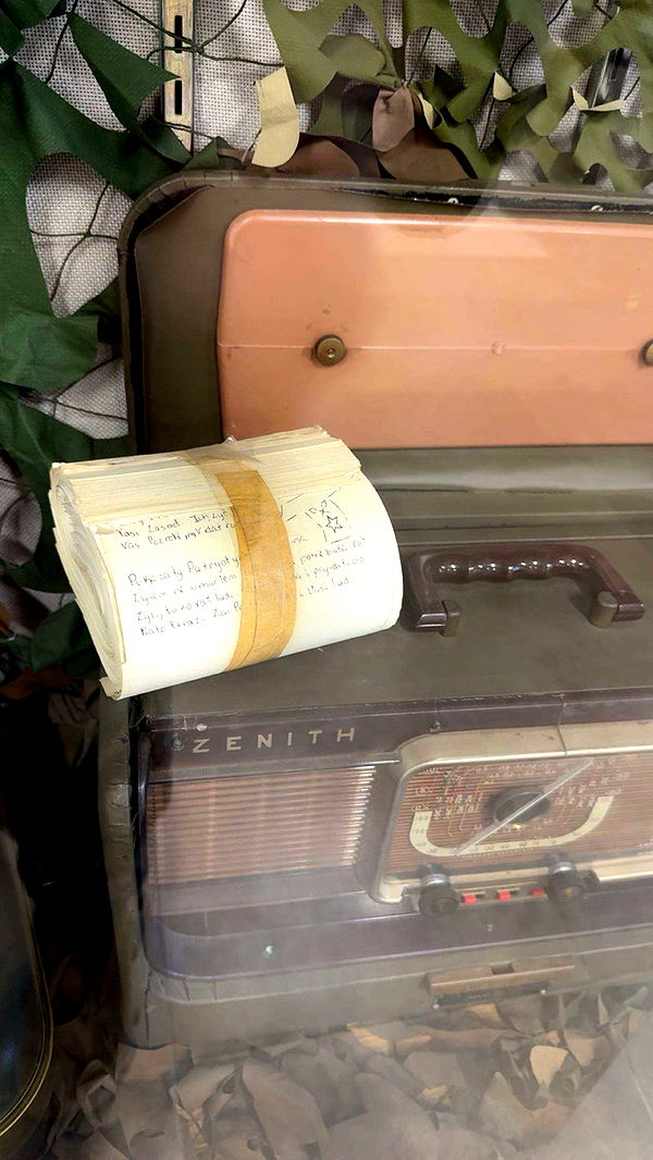 realhaylujan image ~ Altpins