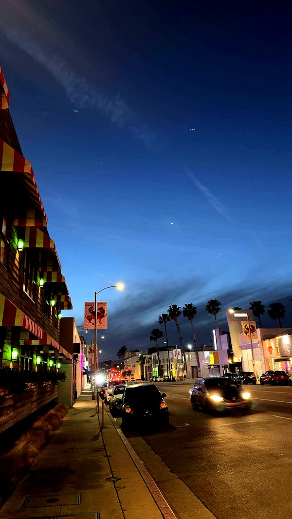 realhaylujan image ~ Altpins