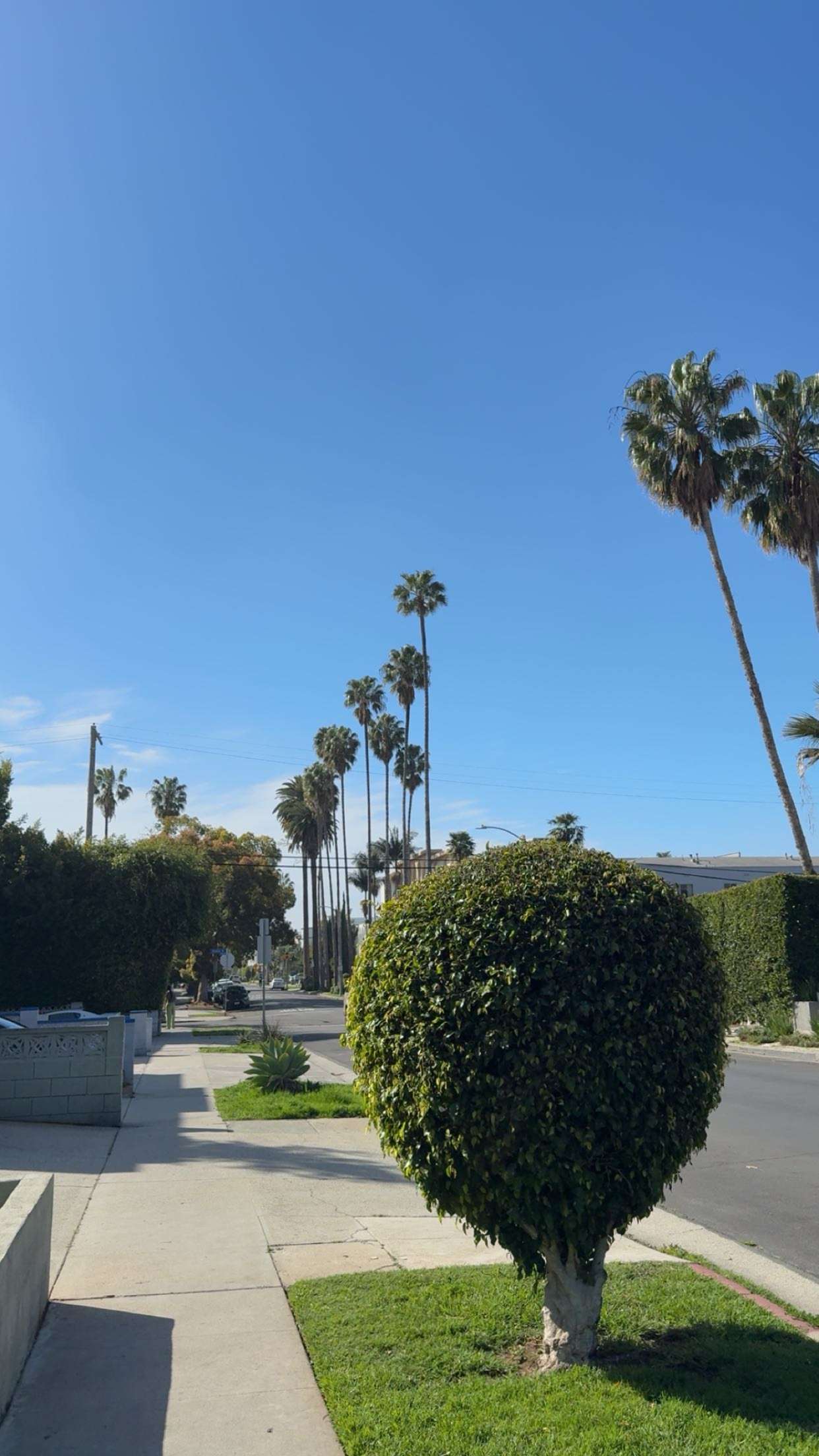 realhaylujan snapchat image archive image