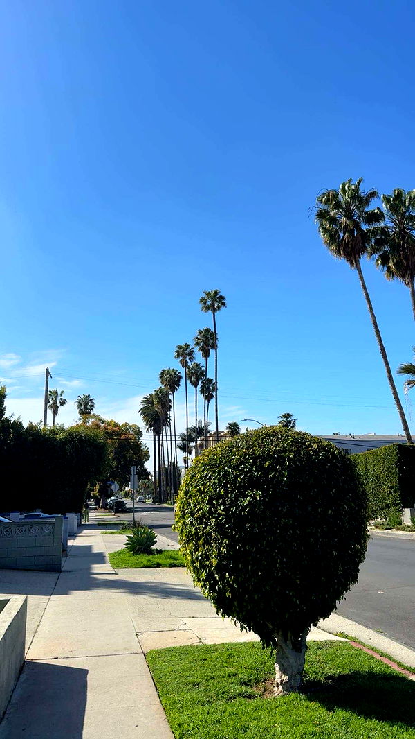 realhaylujan image ~ Altpins