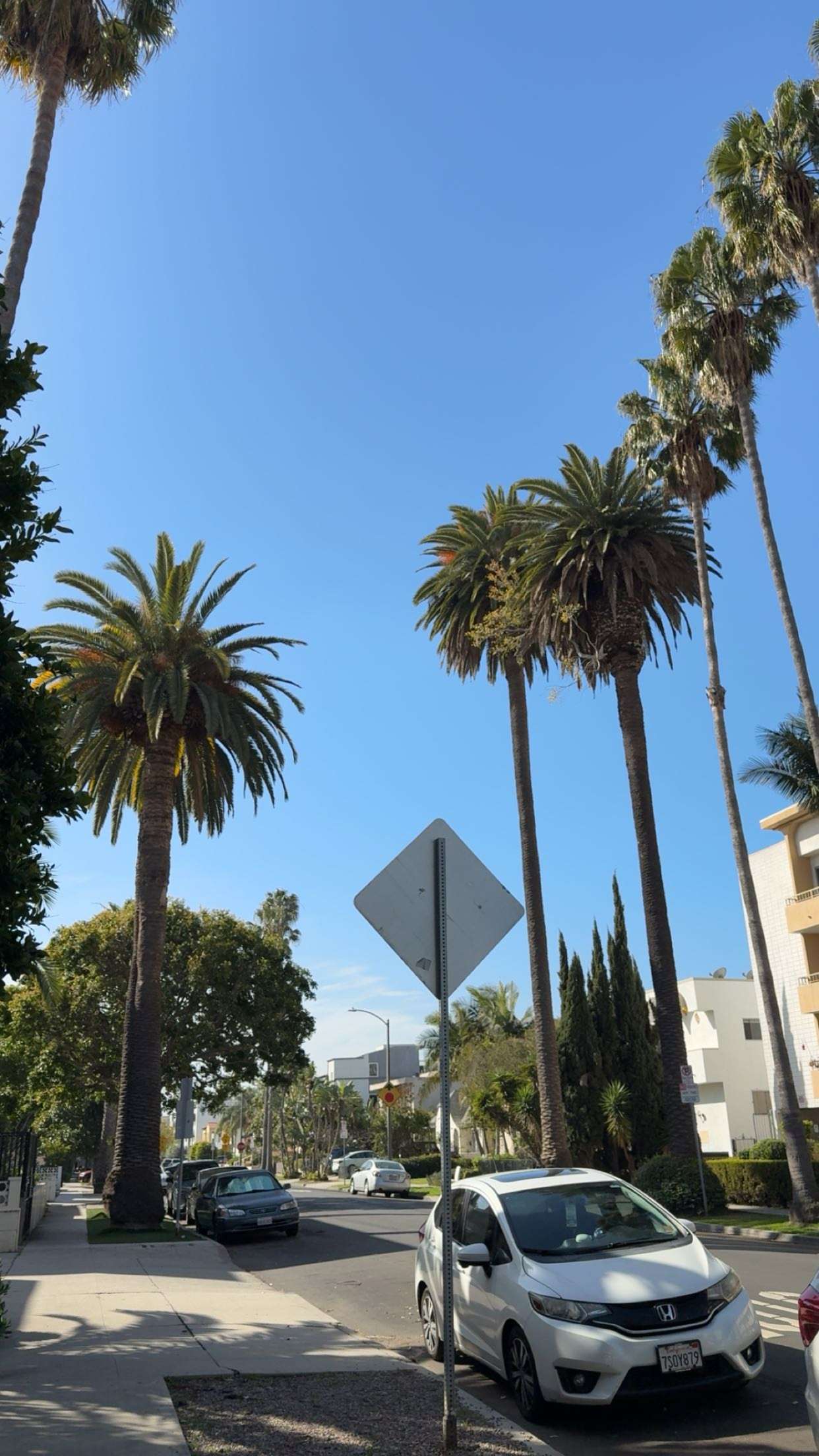 realhaylujan snapchat image archive image