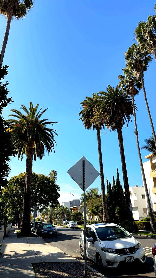 realhaylujan image ~ Altpins