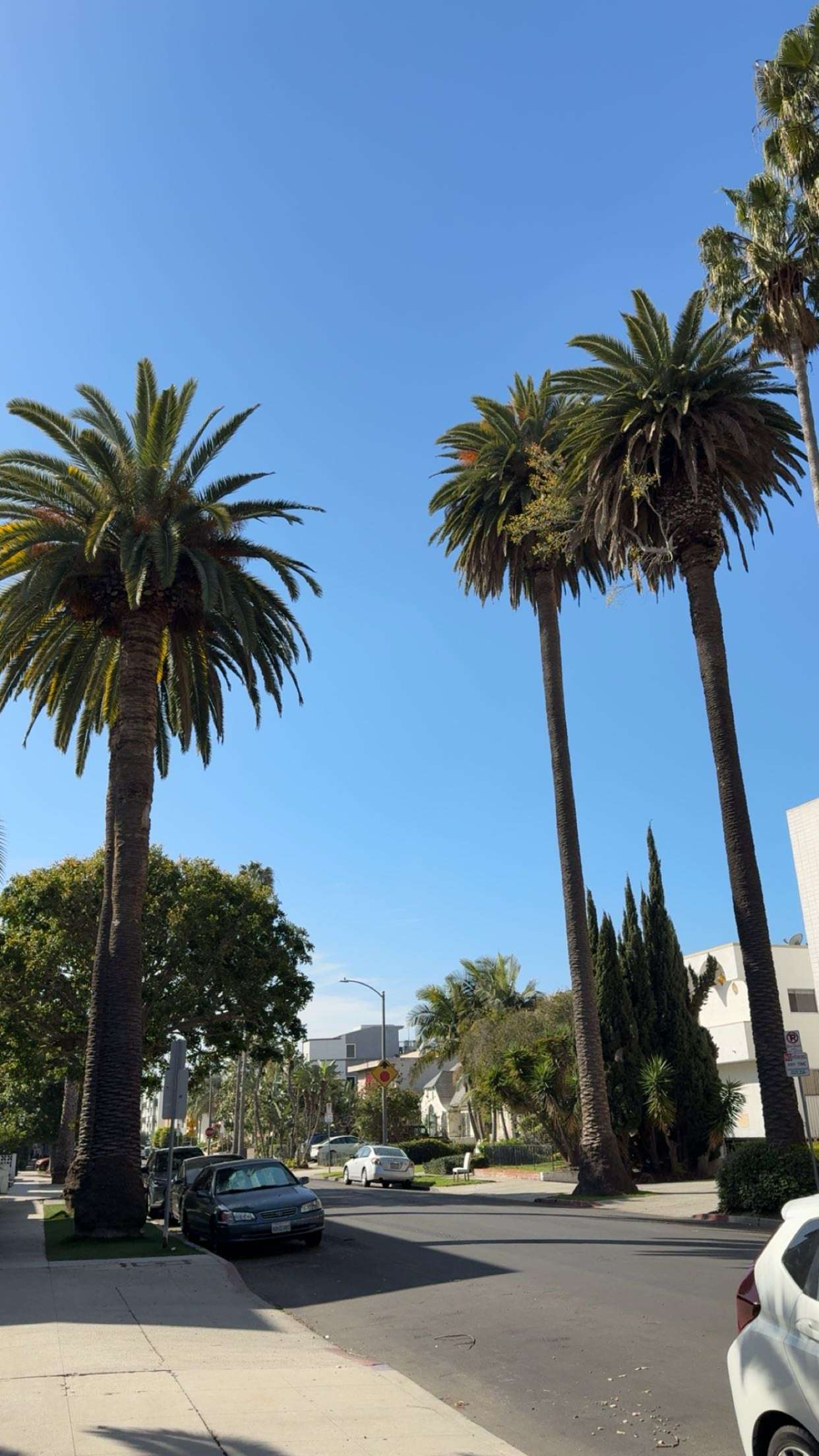 realhaylujan snapchat image archive image