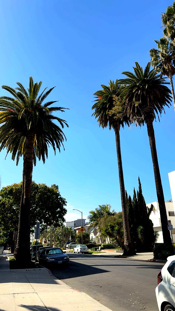 realhaylujan image ~ Altpins