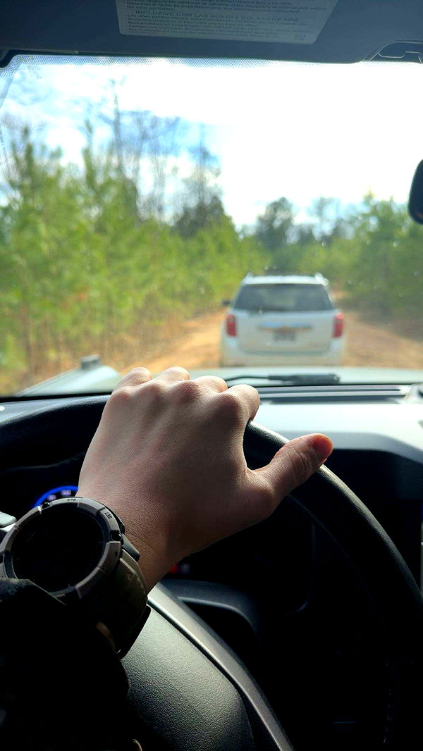 realhaylujan image ~ Altpins