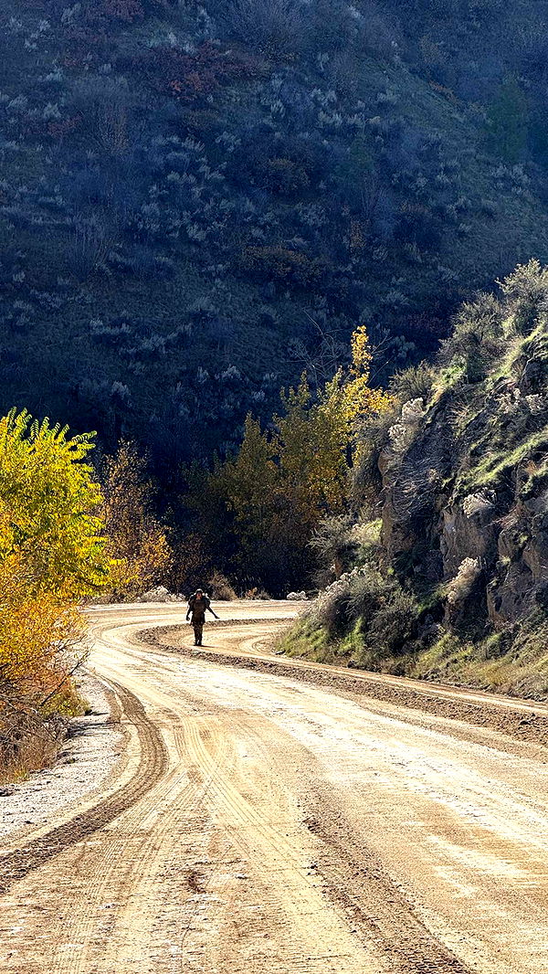 realhaylujan image ~ Altpins