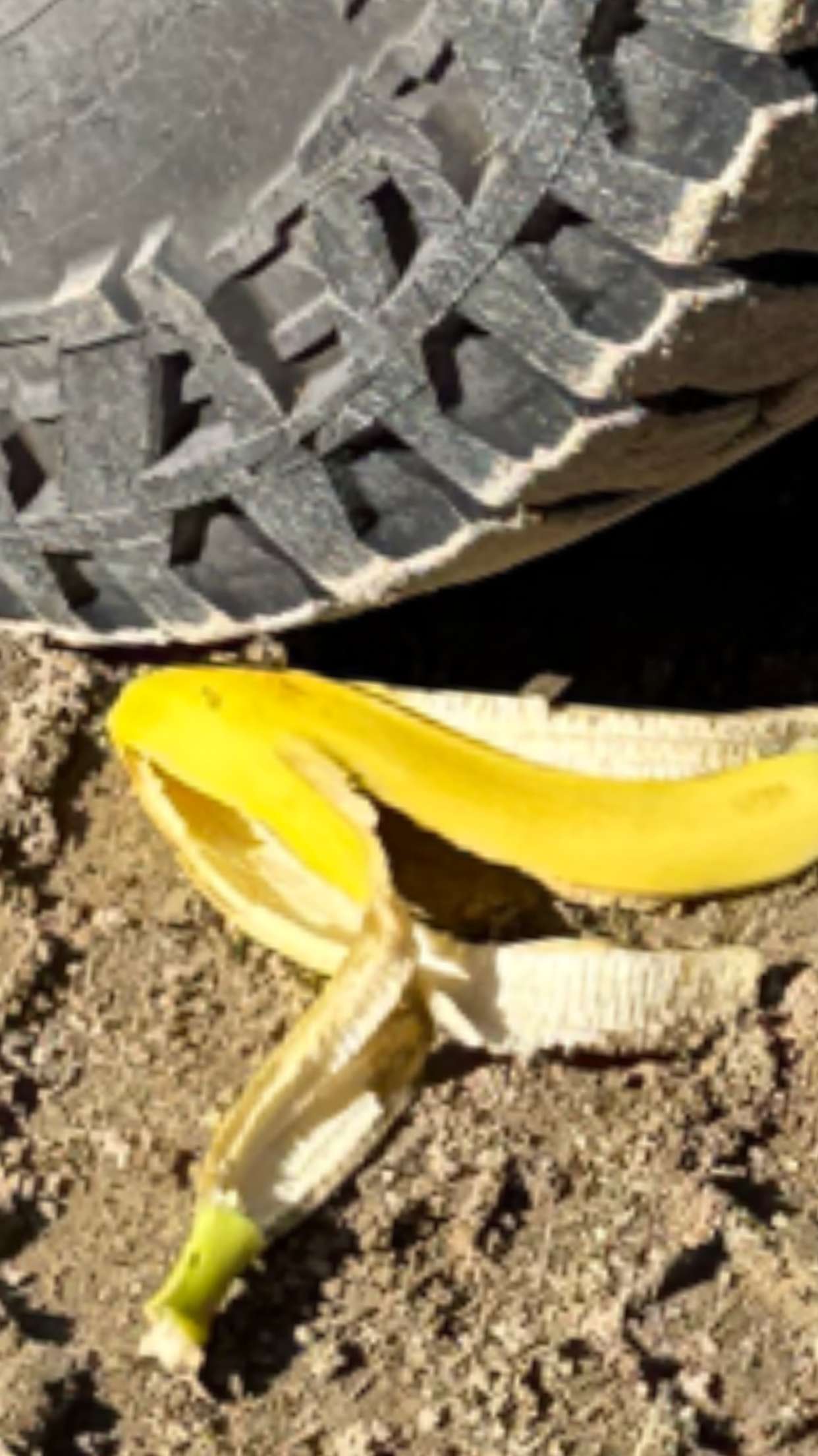 realhaylujan snapchat image archive image