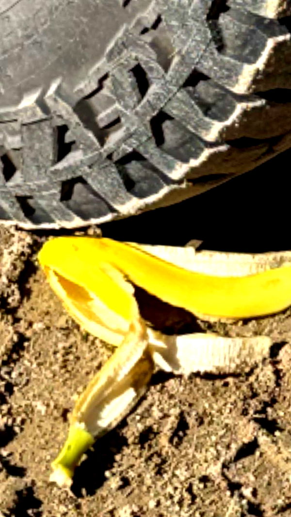 realhaylujan image ~ Altpins