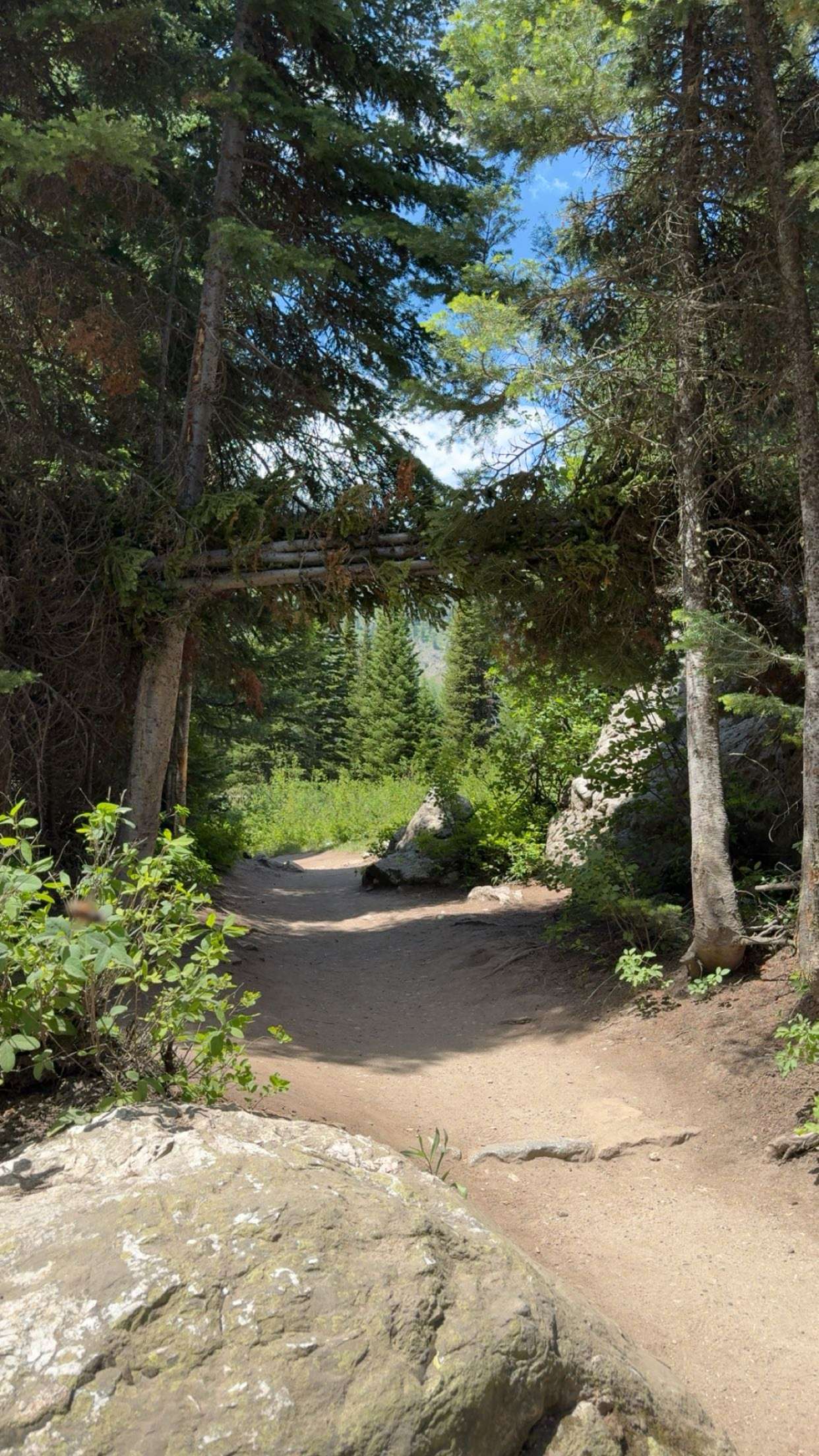 realhaylujan snapchat image archive image