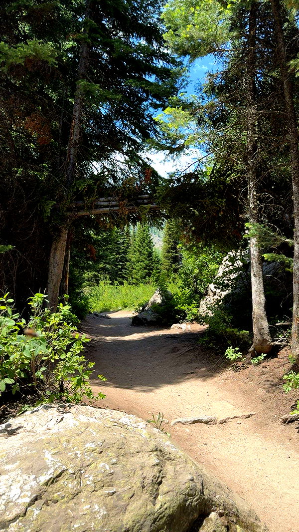 realhaylujan image ~ Altpins