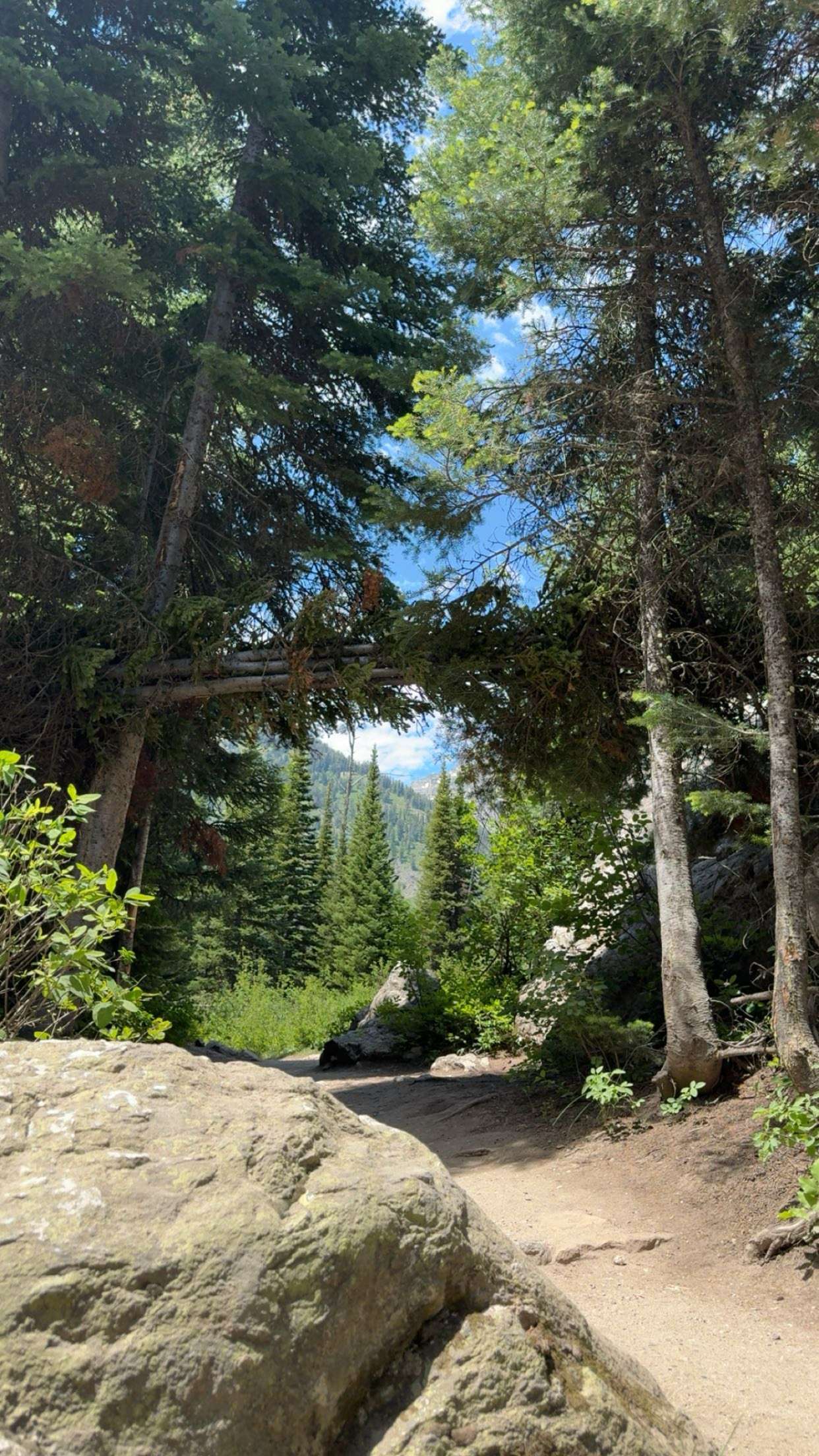 realhaylujan snapchat image archive image