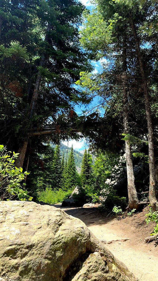 realhaylujan image ~ Altpins