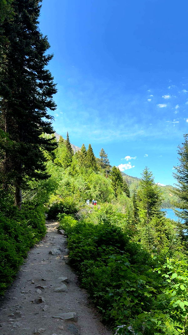 realhaylujan image ~ Altpins