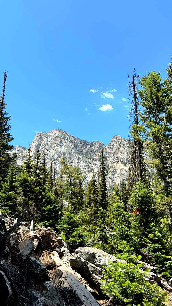 realhaylujan image ~ Altpins