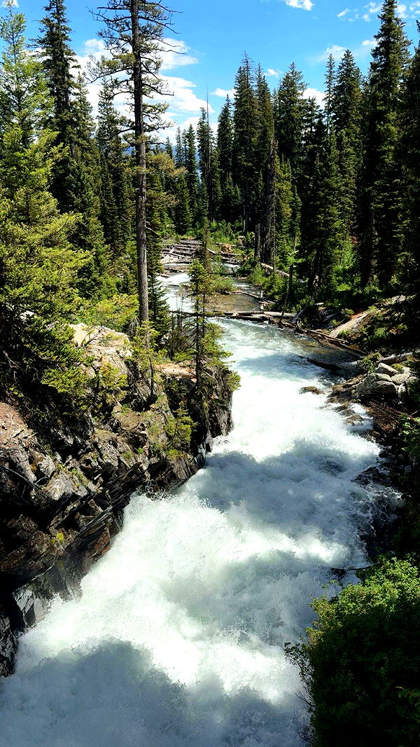 realhaylujan image ~ Altpins