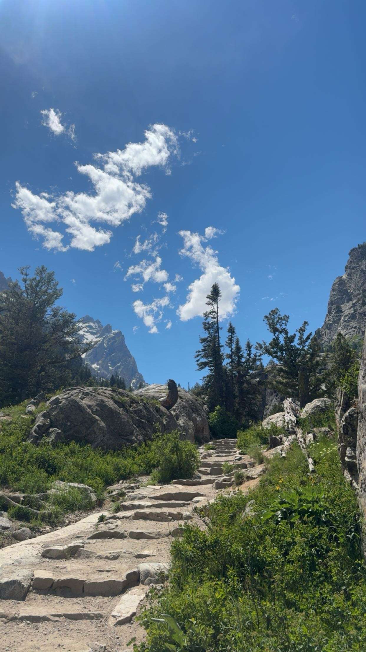 realhaylujan snapchat image archive image