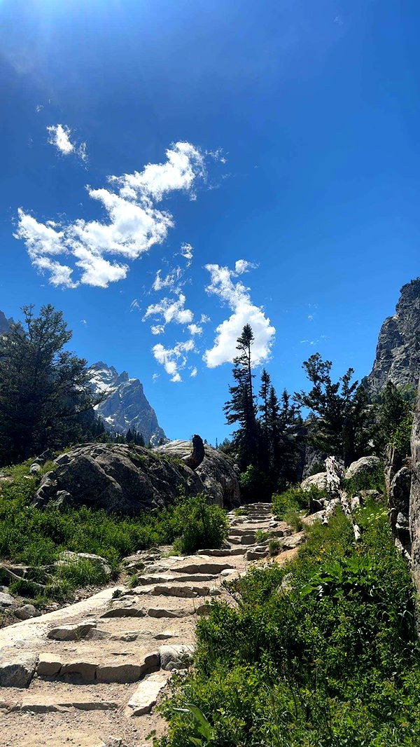 realhaylujan image ~ Altpins