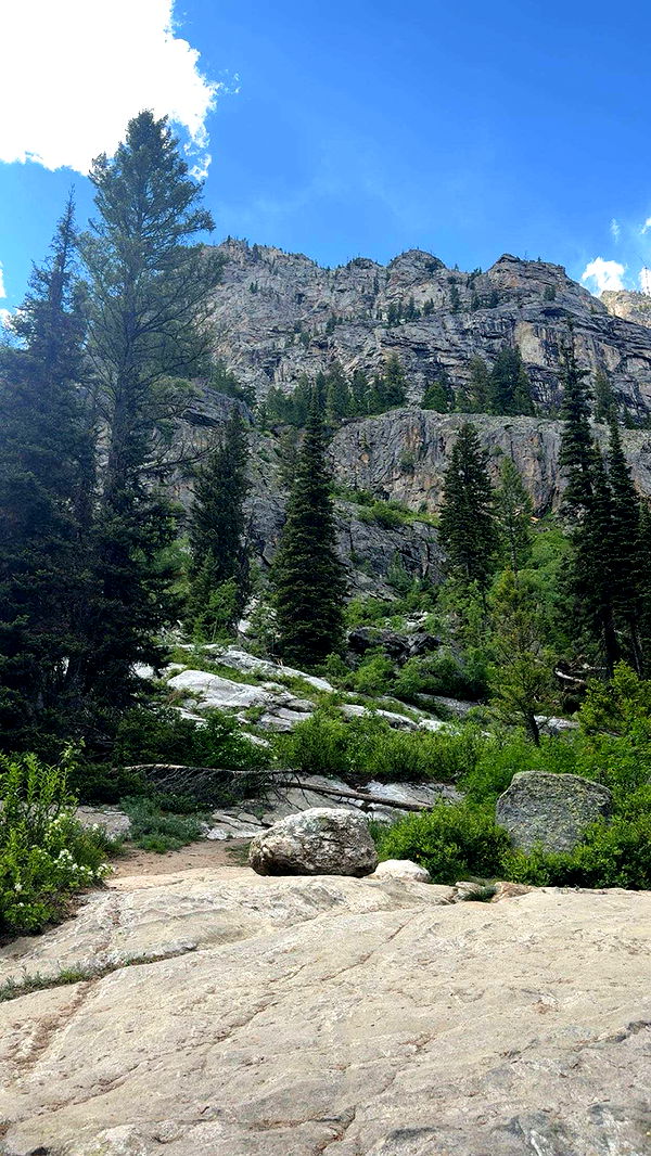 realhaylujan image ~ Altpins