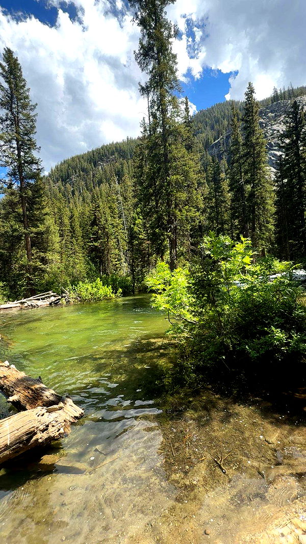 realhaylujan image ~ Altpins