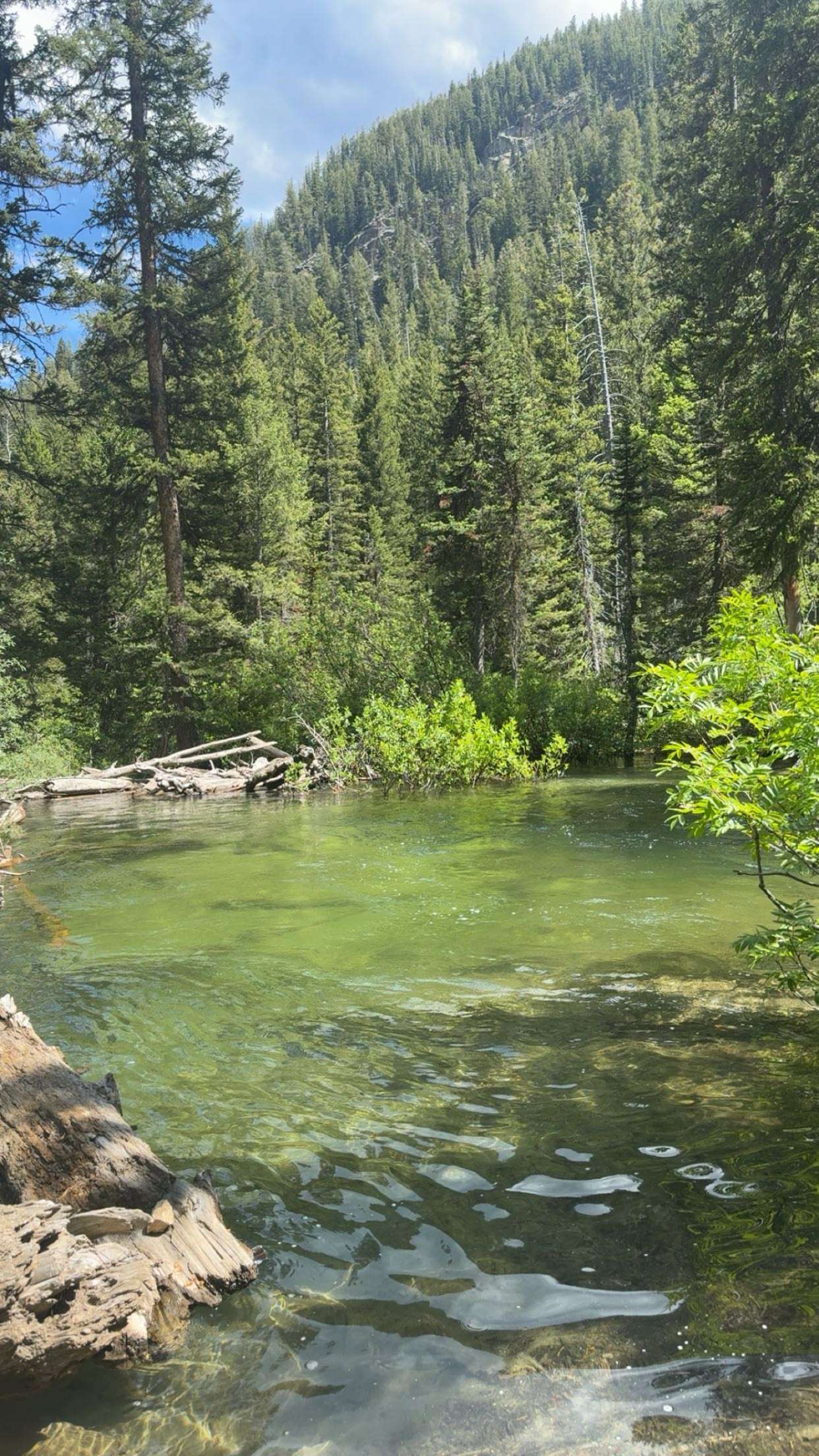 realhaylujan snapchat image archive image