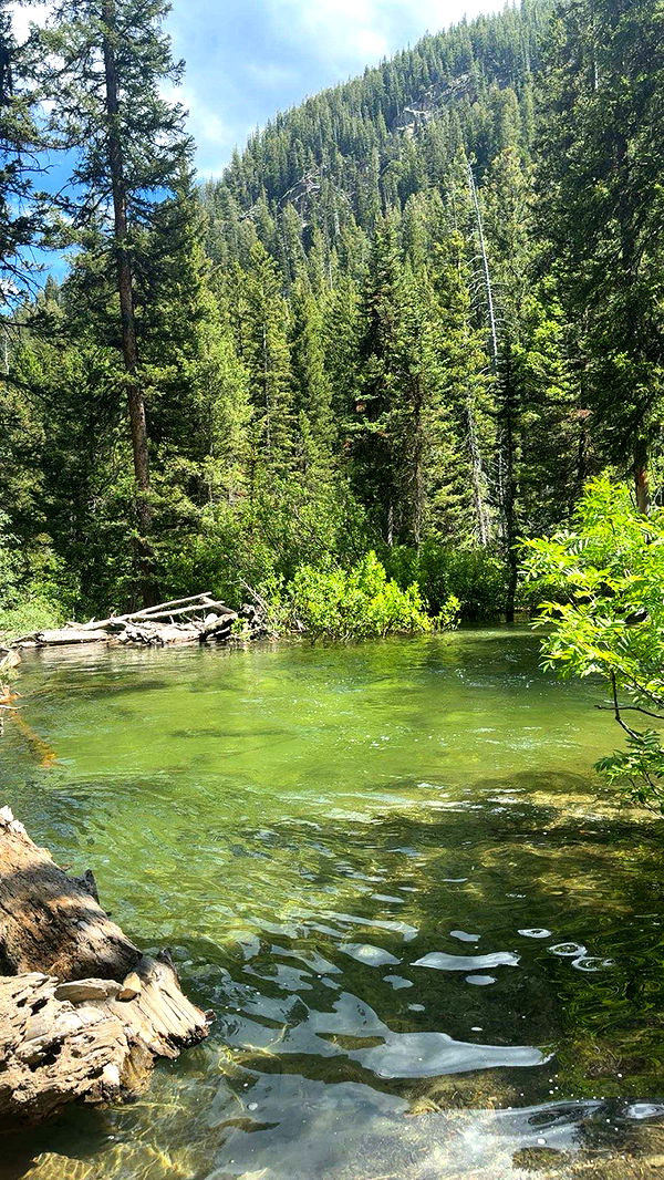 realhaylujan image ~ Altpins