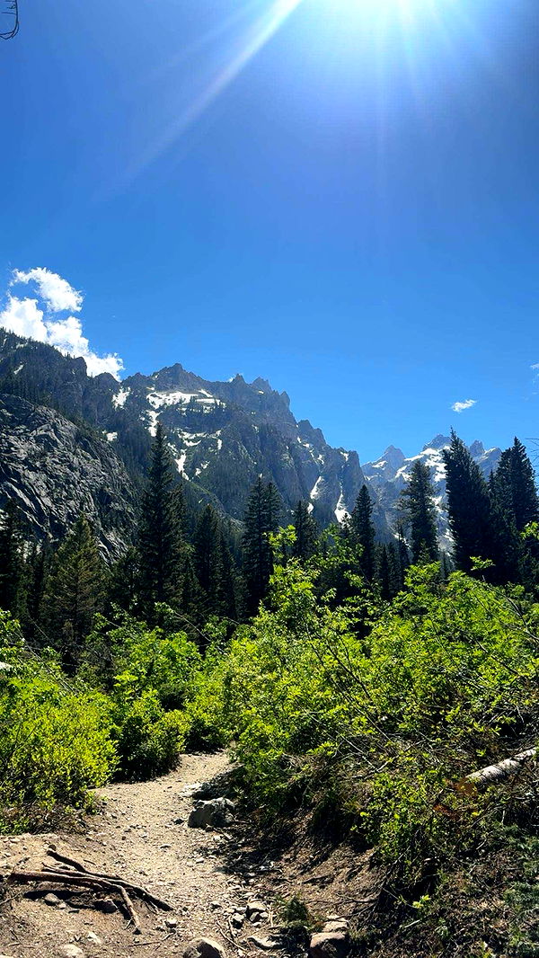 realhaylujan image ~ Altpins