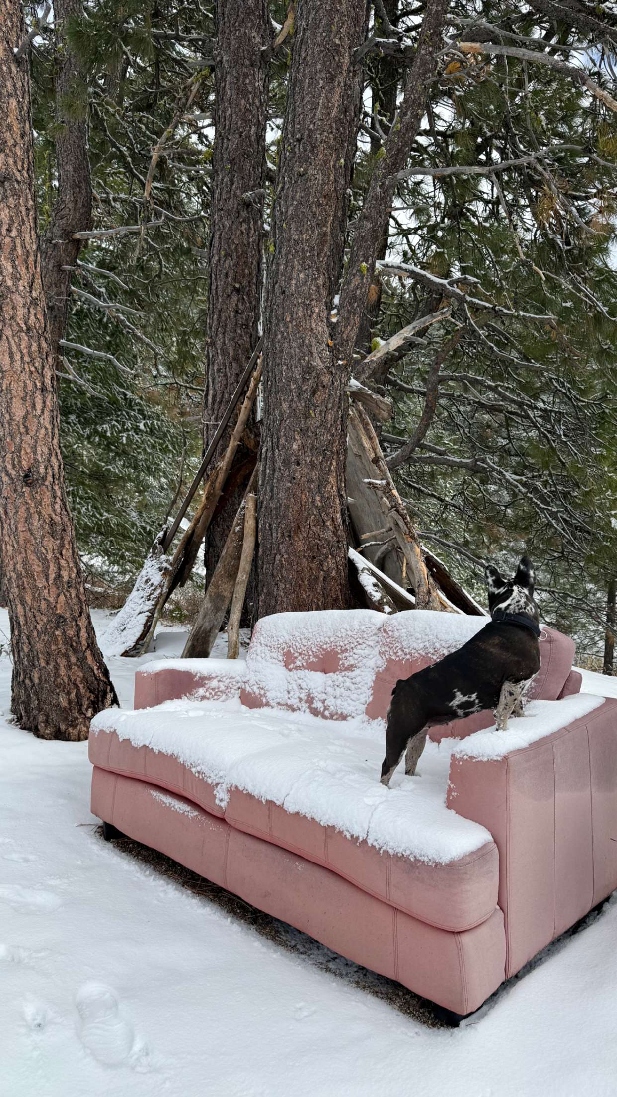 realhaylujan snapchat image archive image