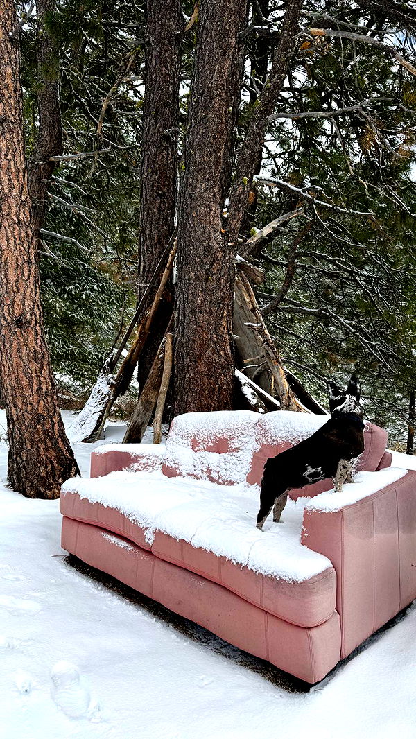 realhaylujan image ~ Altpins