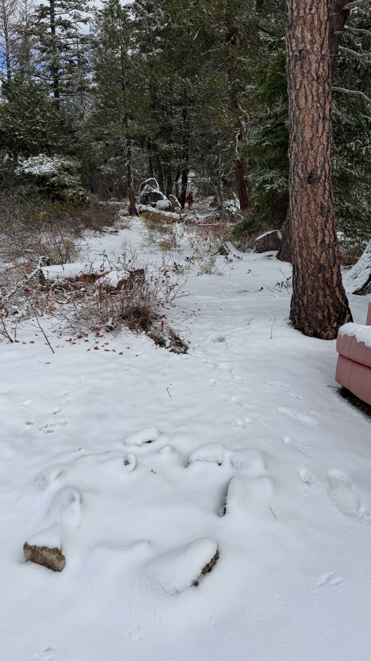 realhaylujan snapchat image archive image