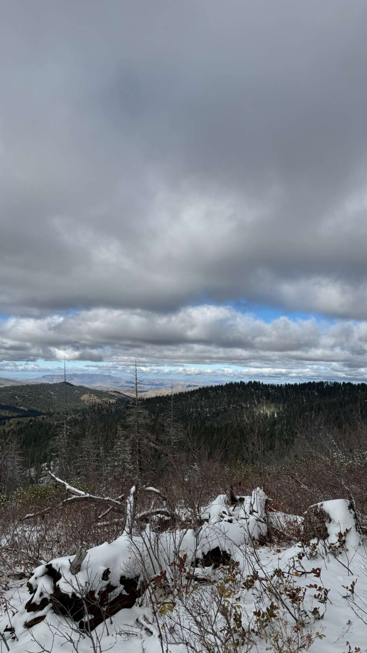 realhaylujan snapchat image archive image