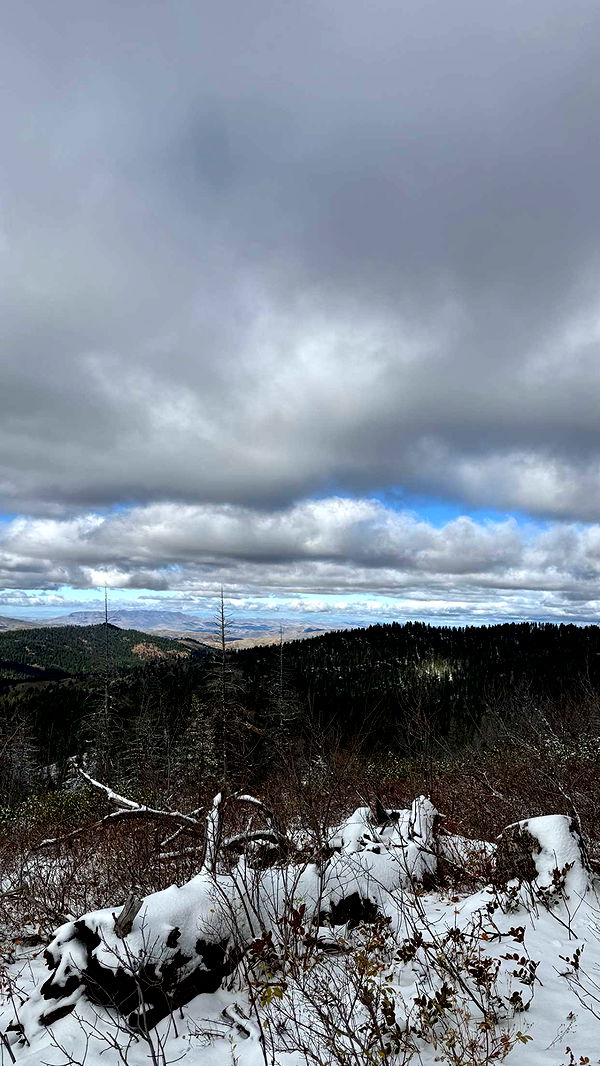 realhaylujan image ~ Altpins