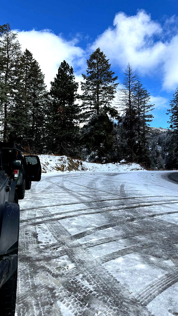 realhaylujan image ~ Altpins