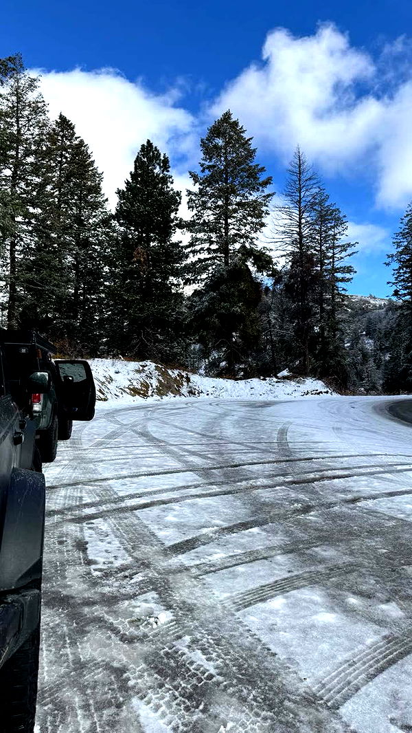 realhaylujan image ~ Altpins