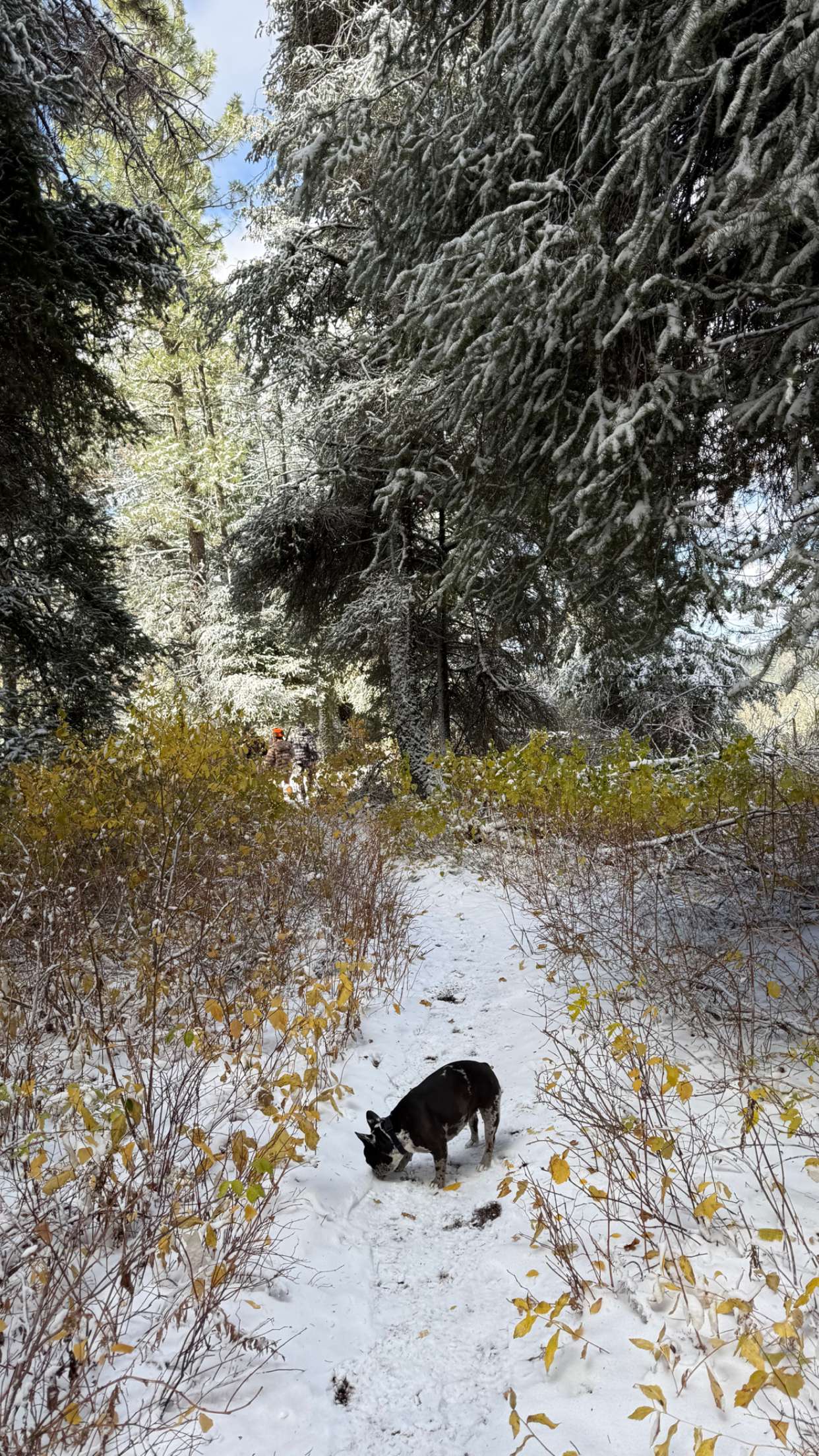 realhaylujan snapchat image archive image