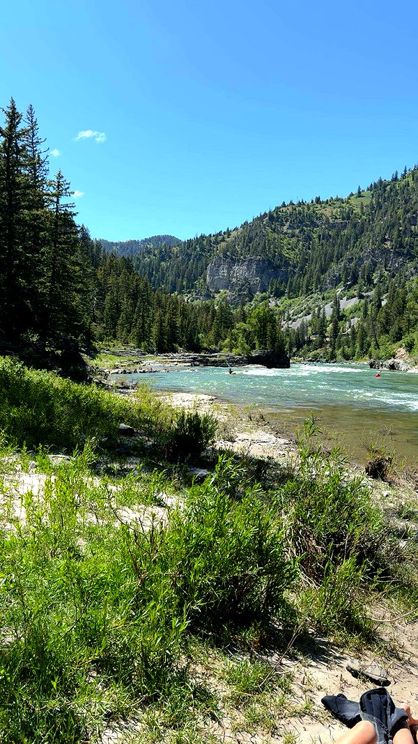 realhaylujan image ~ Altpins