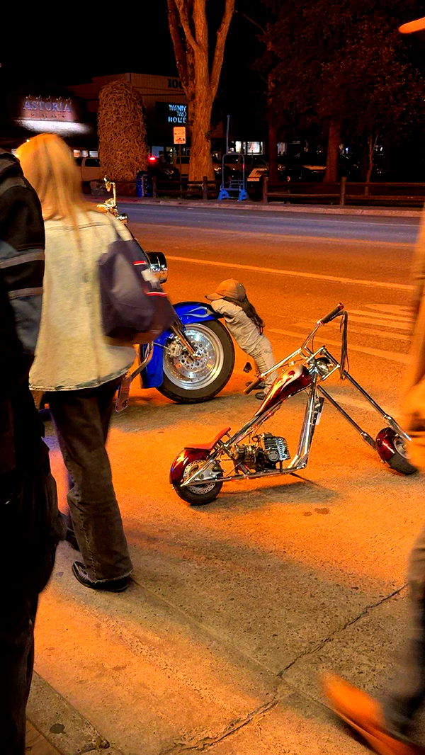 realhaylujan image ~ Altpins