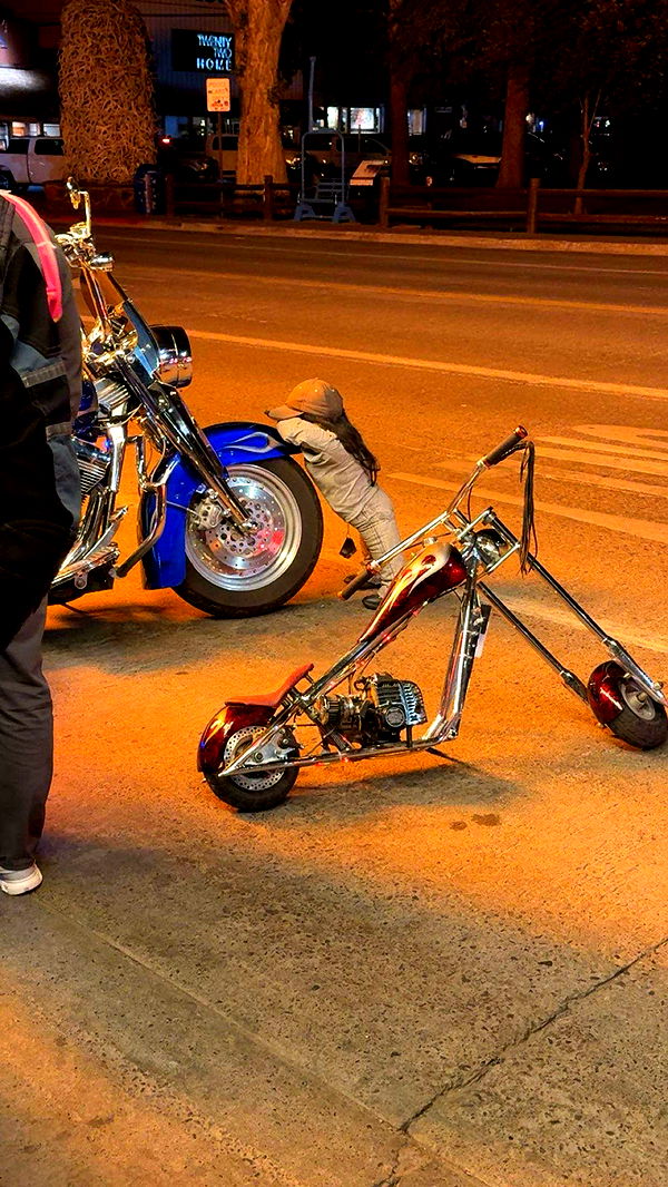 realhaylujan image ~ Altpins