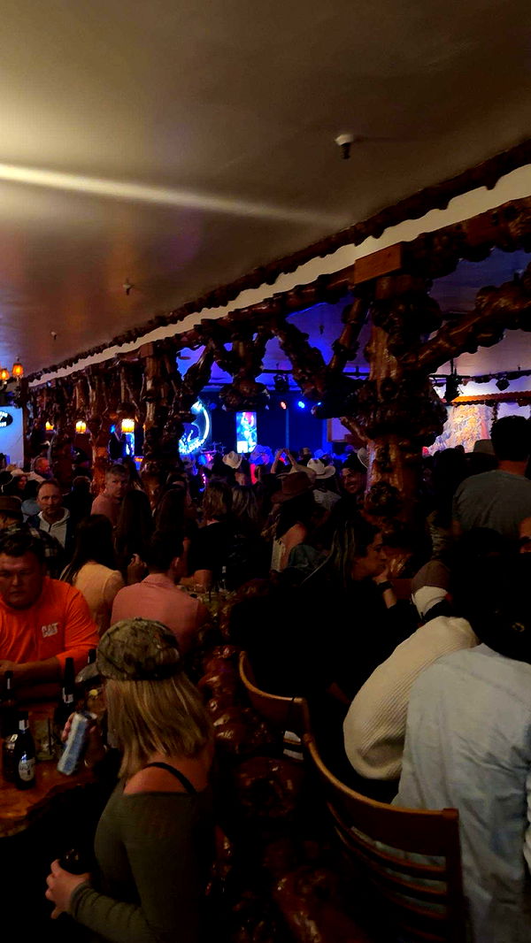 realhaylujan image ~ Altpins