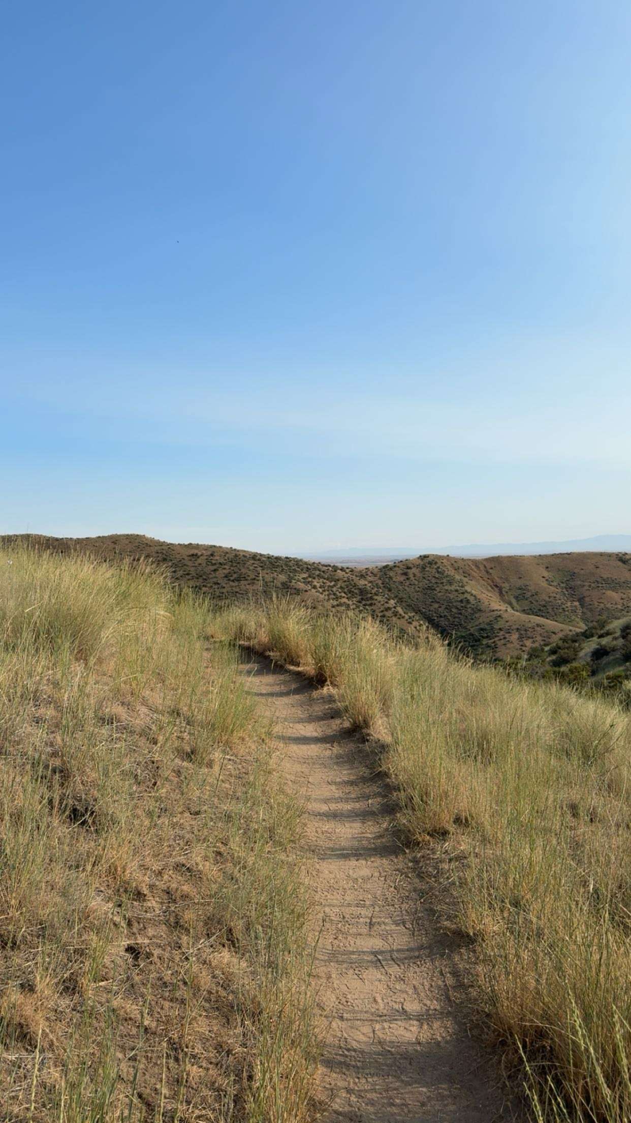 realhaylujan snapchat image archive image