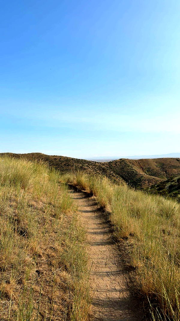 realhaylujan image ~ Altpins