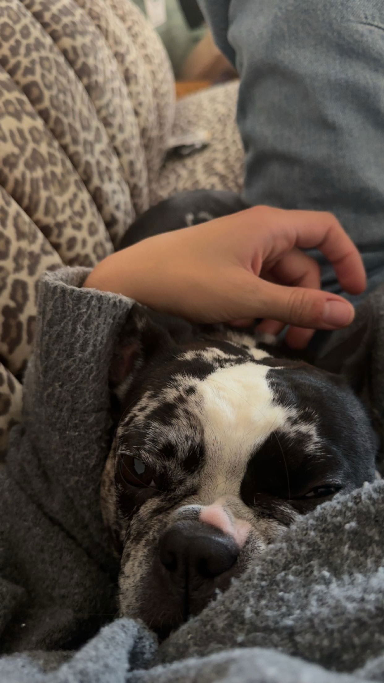 realhaylujan snapchat image archive image